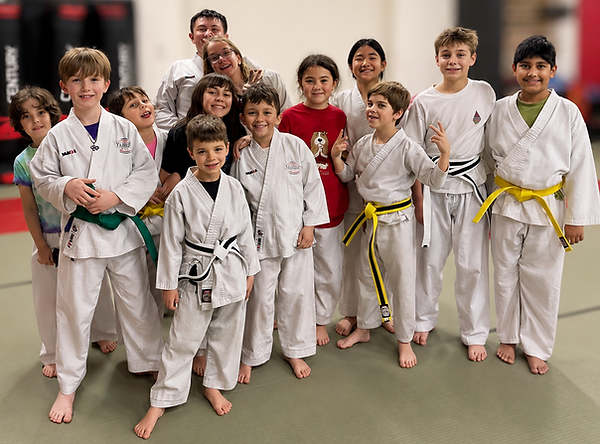 Main image of Varsity Performance Karate