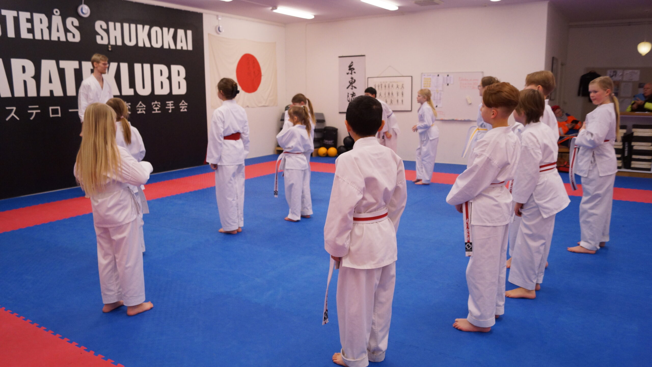 Main image of Västerås Shukokai Karate Club