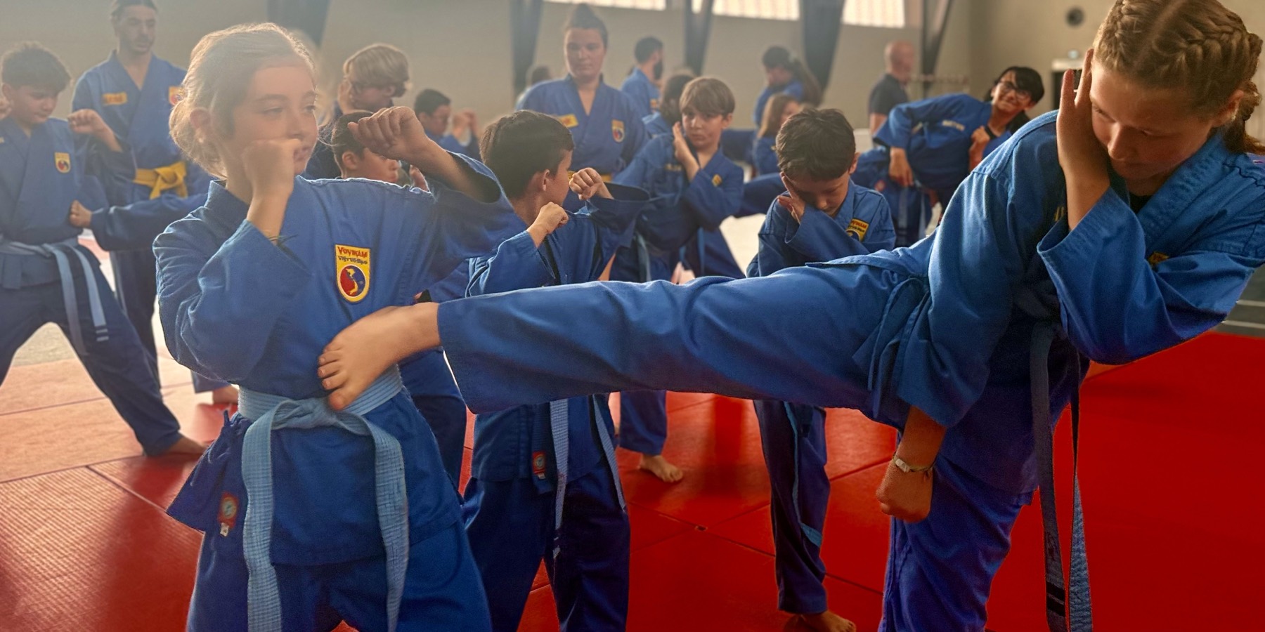 Main image of VDST IZON - Vovinam Viet Vo Dao
