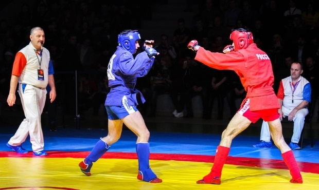 Main image of Vega Baja Combat Sambo