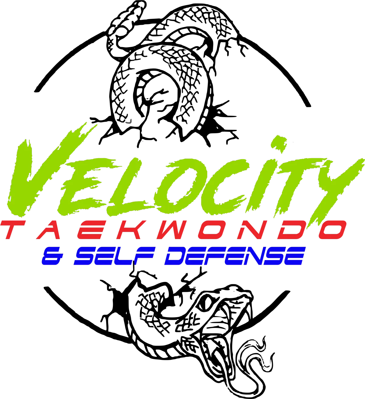 Main image of Velocity Taekwondo and Self Defense