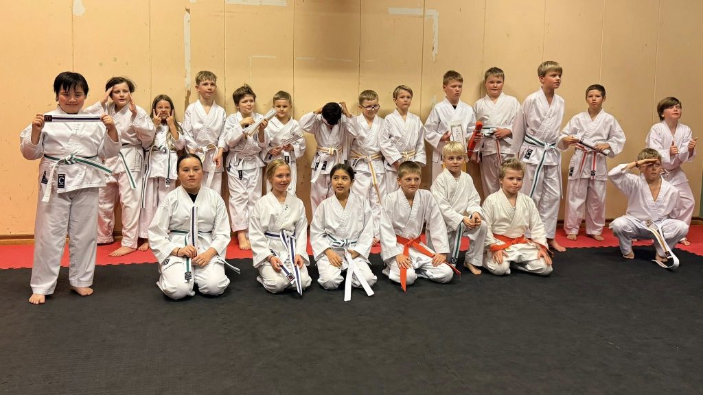 Main image of Vennesla Shorin Ryu Karate