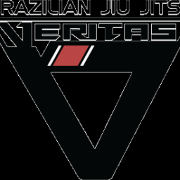 Main image of Veritas Mixed Martial Arts