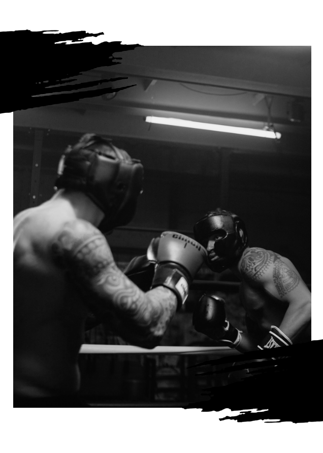 Main image of Verona Boxing Fighters