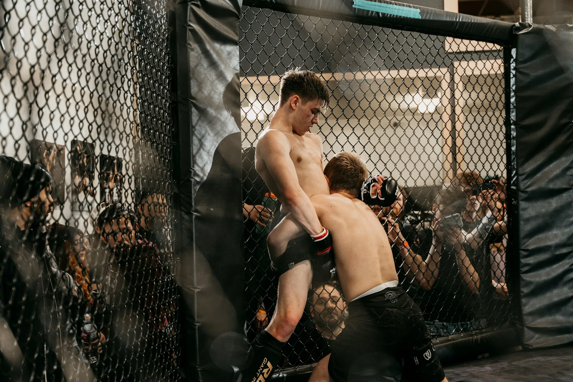 Main image of Vertex360 - MMA & Combat Club