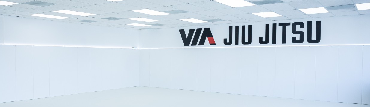 Main image of Via Jiu Jitsu Hillsboro