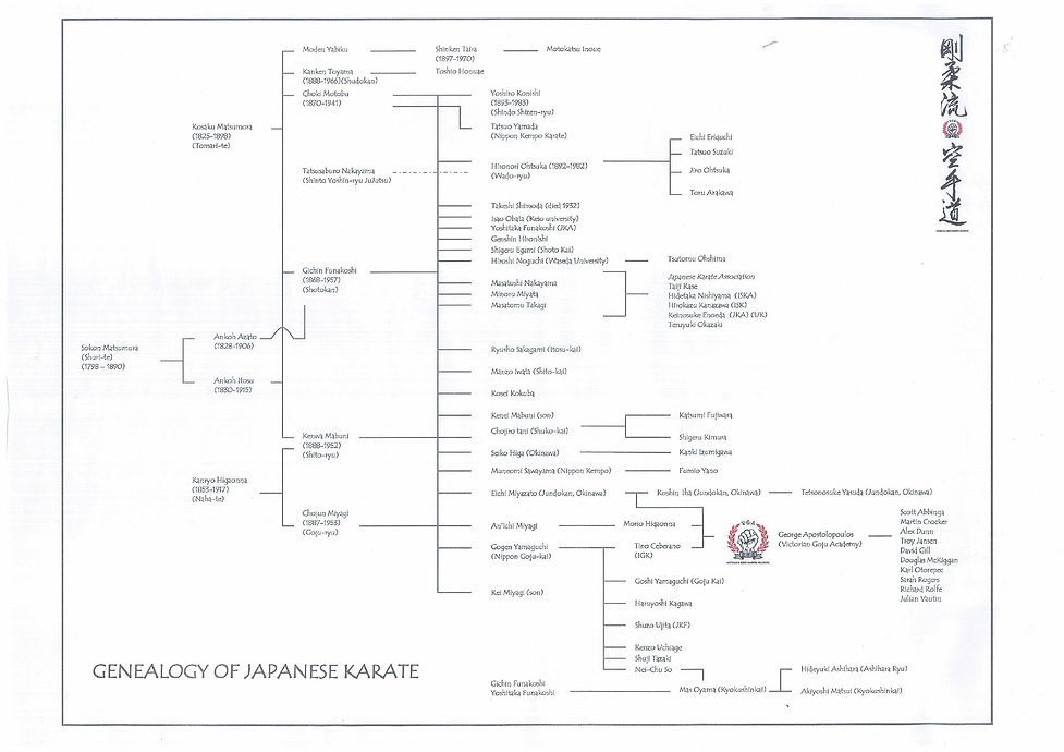 Main image of Victorian Goju Karate Academy