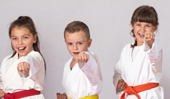 Main image of Victory Karate