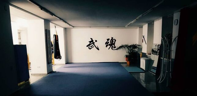 Main image of Vienna Wushu Guan