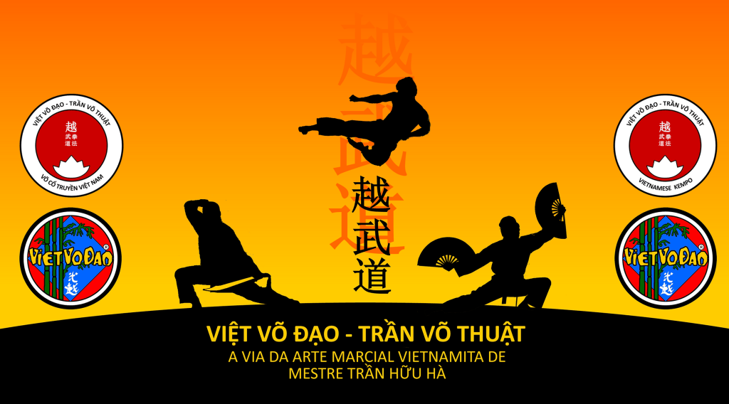 Main image of Viet Vo Dao Portugal