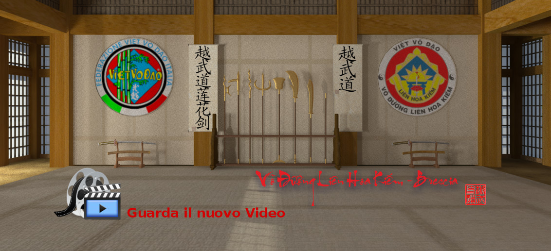 Main image of Viet Vo Dao