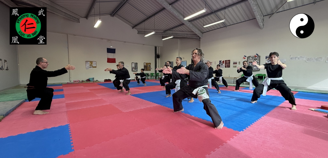Main image of Viet Vo Dao / Self Défense Castres / Tai Chi Qigong