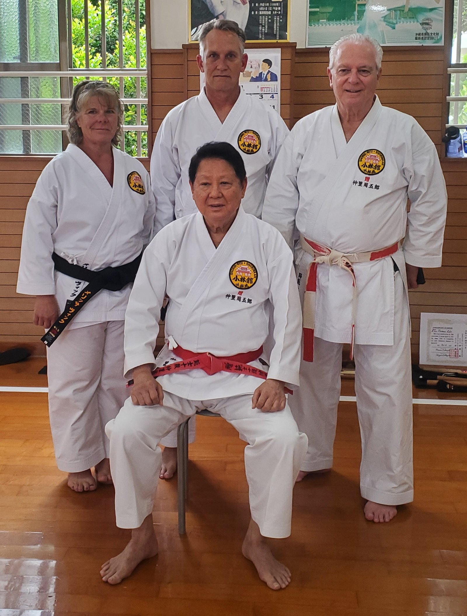 Main image of Vik Family Shorin-Ryu Shorinkan Karate