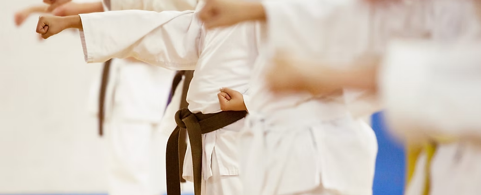 Main image of Village Martial Arts