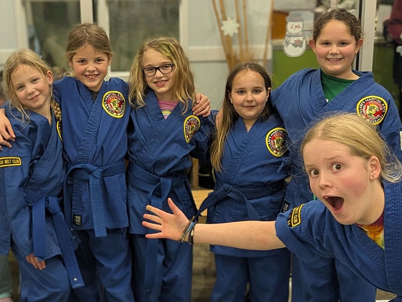 Main image of Villari's Martial Arts and Wellness