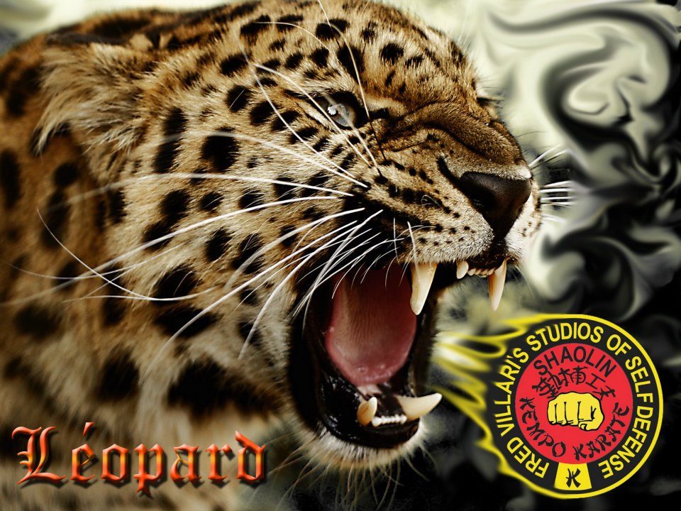 Main image of Villari's Martial Arts Centers