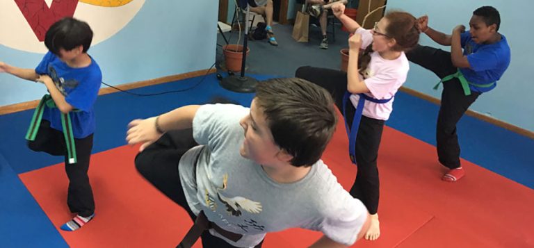 Main image of Villari's Martial Arts Centers