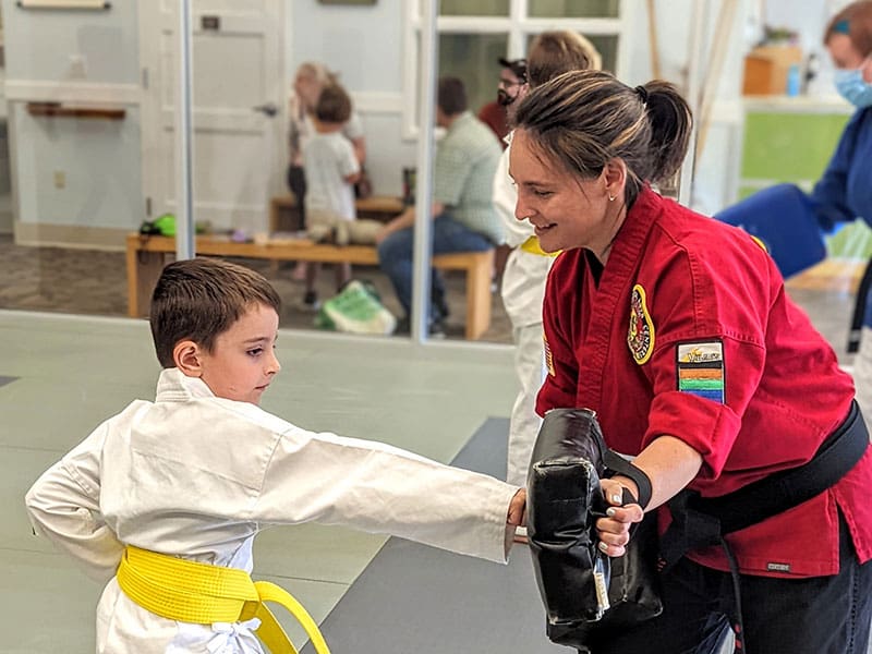 Main image of Villari's Martial Arts