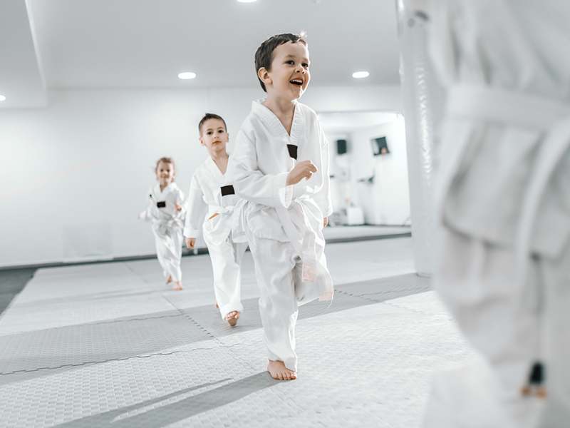 Main image of Villari's Self Defense Center Harleysville