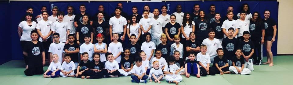 Main image of Vills Bros BJJ