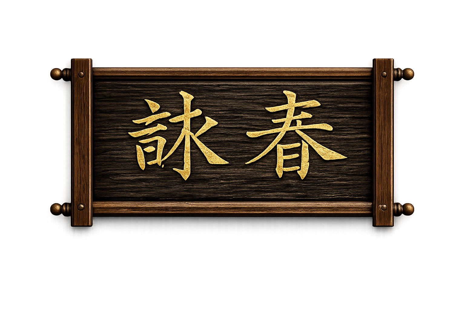 Main image of Ving Tsun / Wing Chun SDE System Belgique France