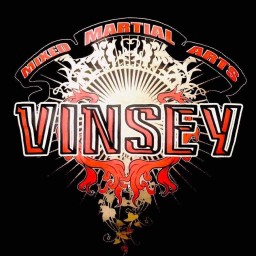 Main image of Vinsey MMA