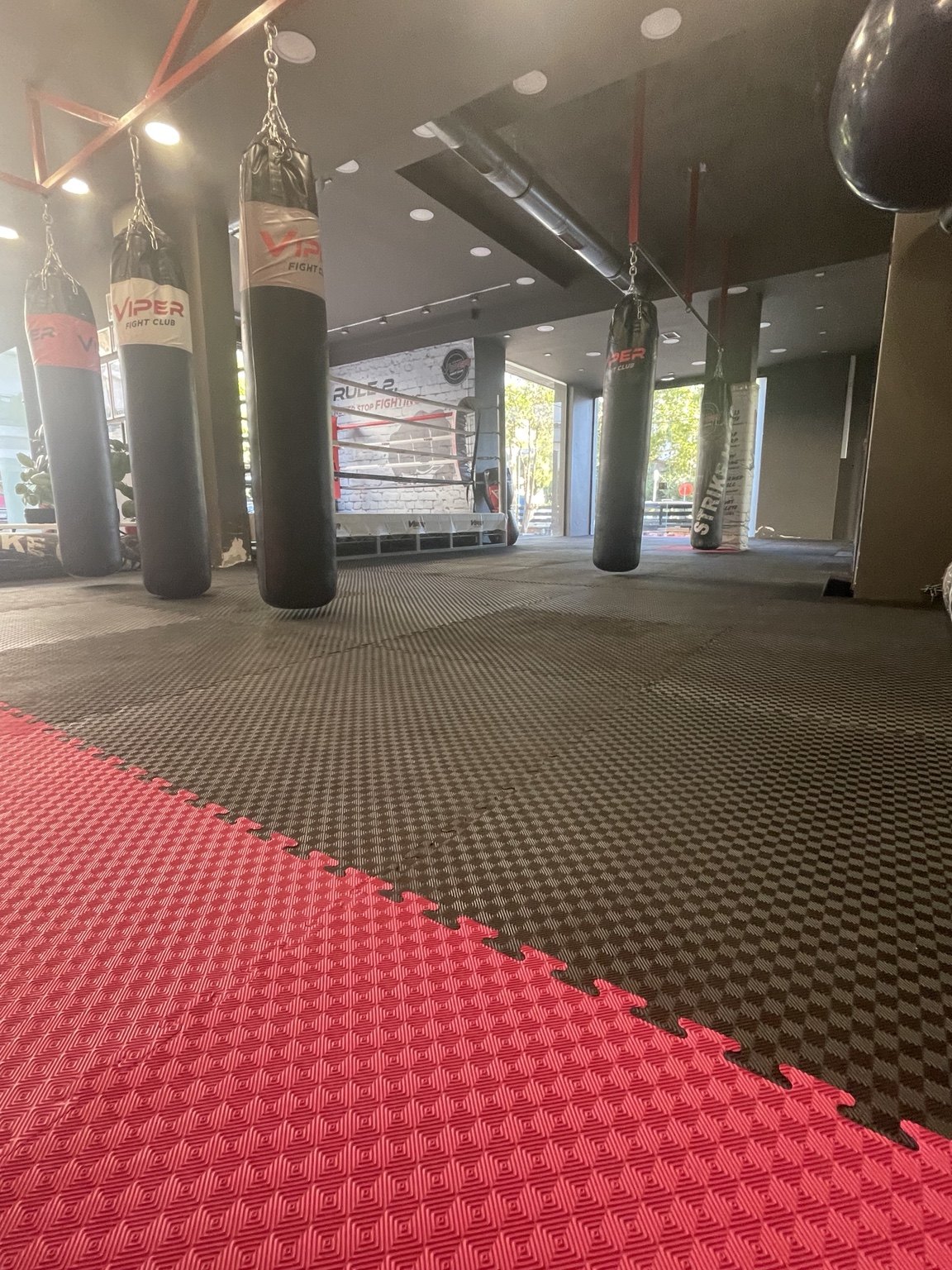 Main image of Viper Fight Club