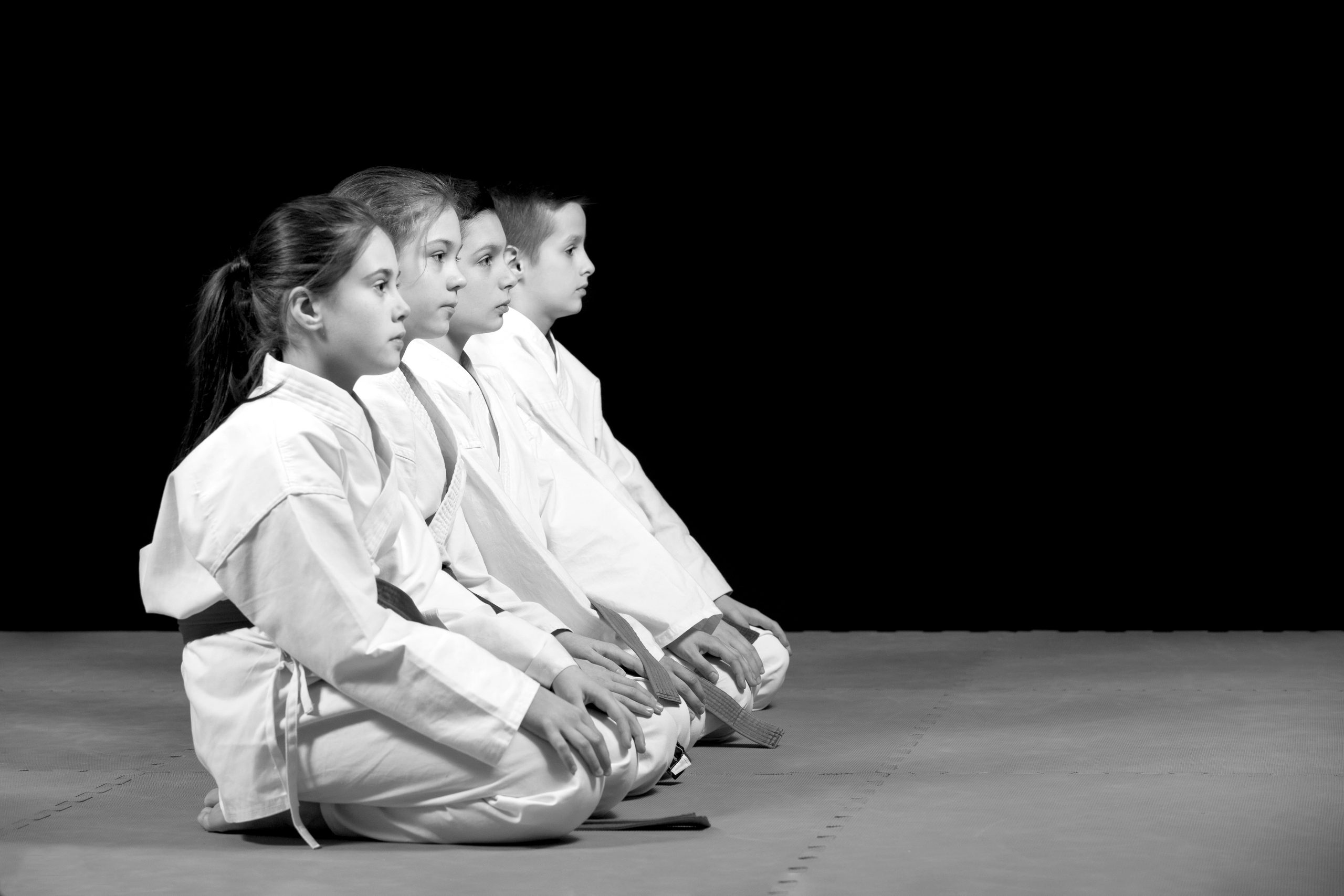 Main image of Virginia Martial Arts Academy