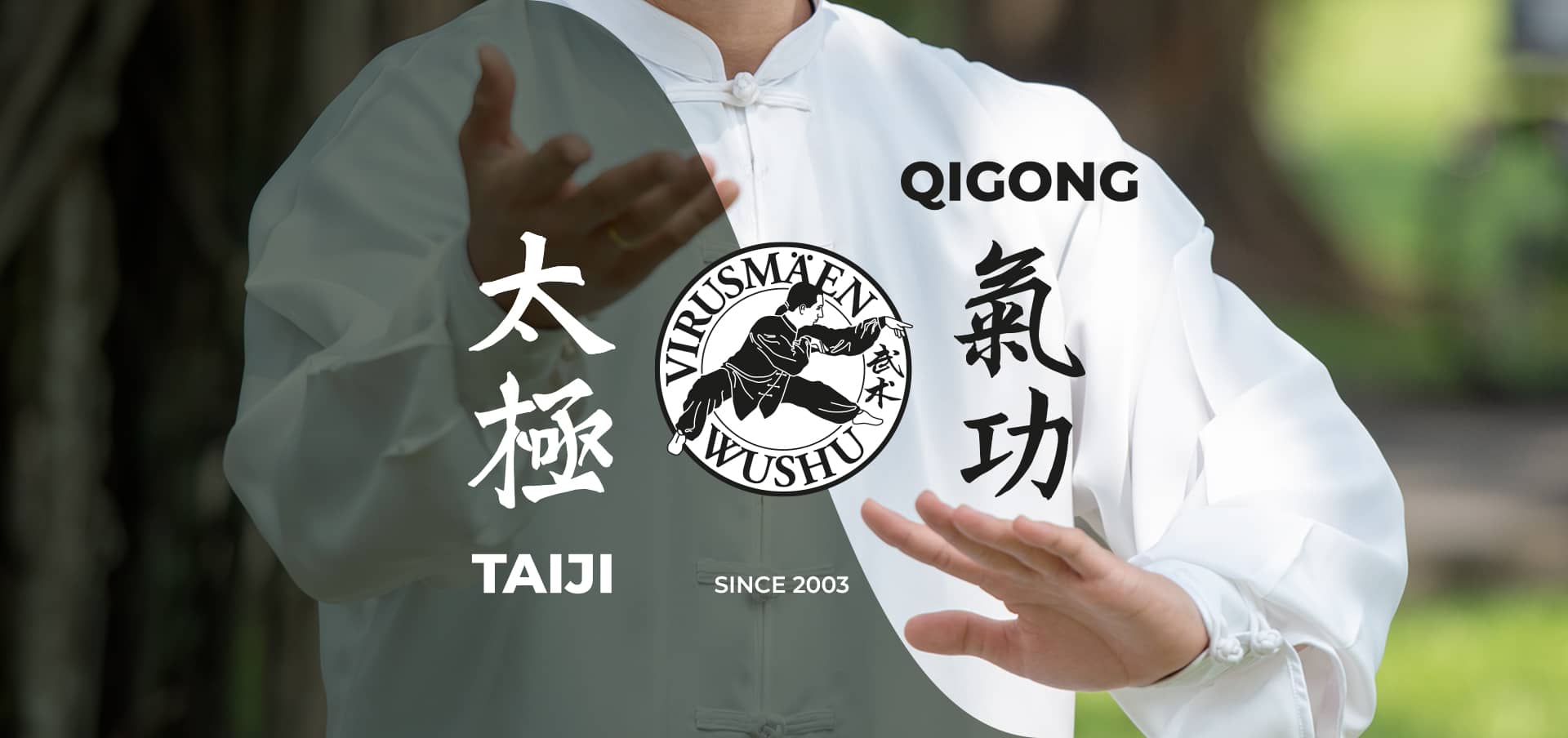 Main image of Virusmäen Wushu