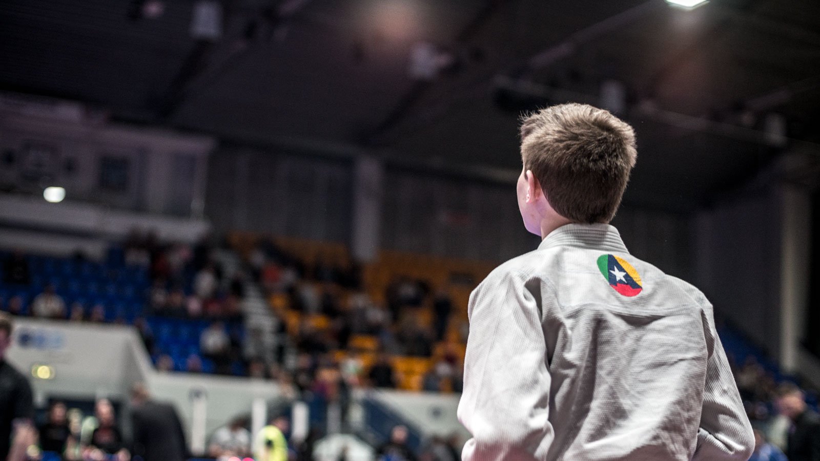 Viva MMA BJJ & Kickboxing academy image