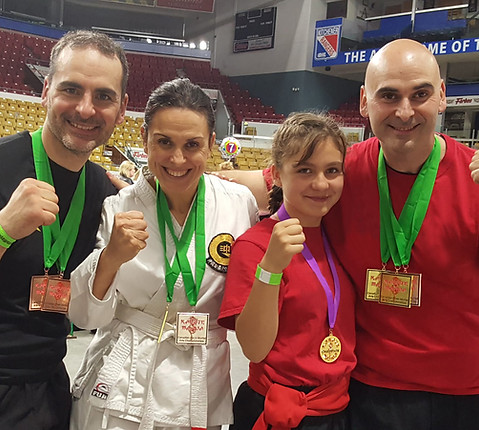 Main image of Volpe Martial Arts