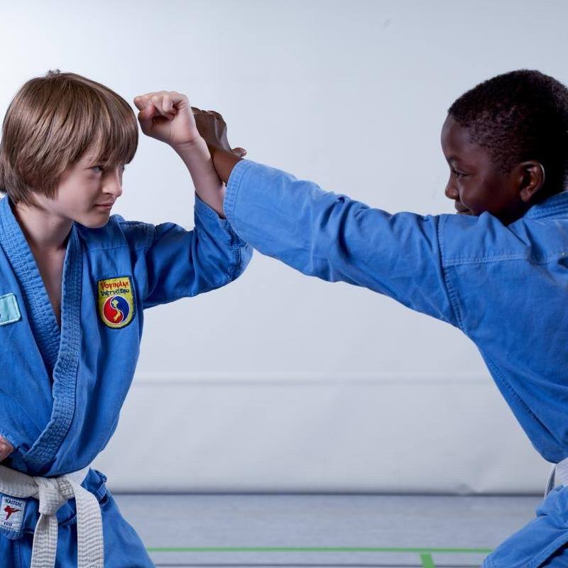 Main image of Vovinam Akademie Stuttgart