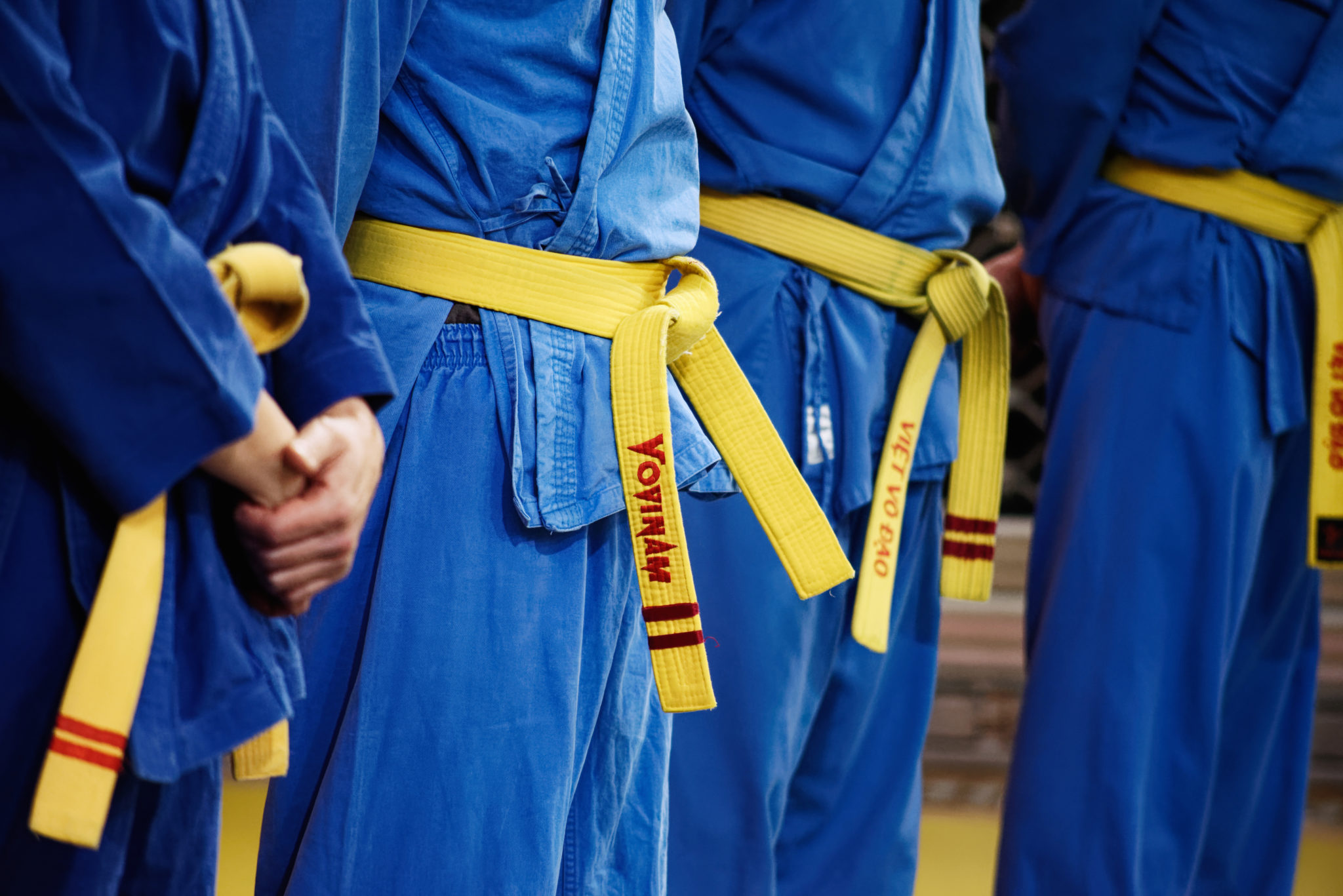 Main image of Vovinam Rosny