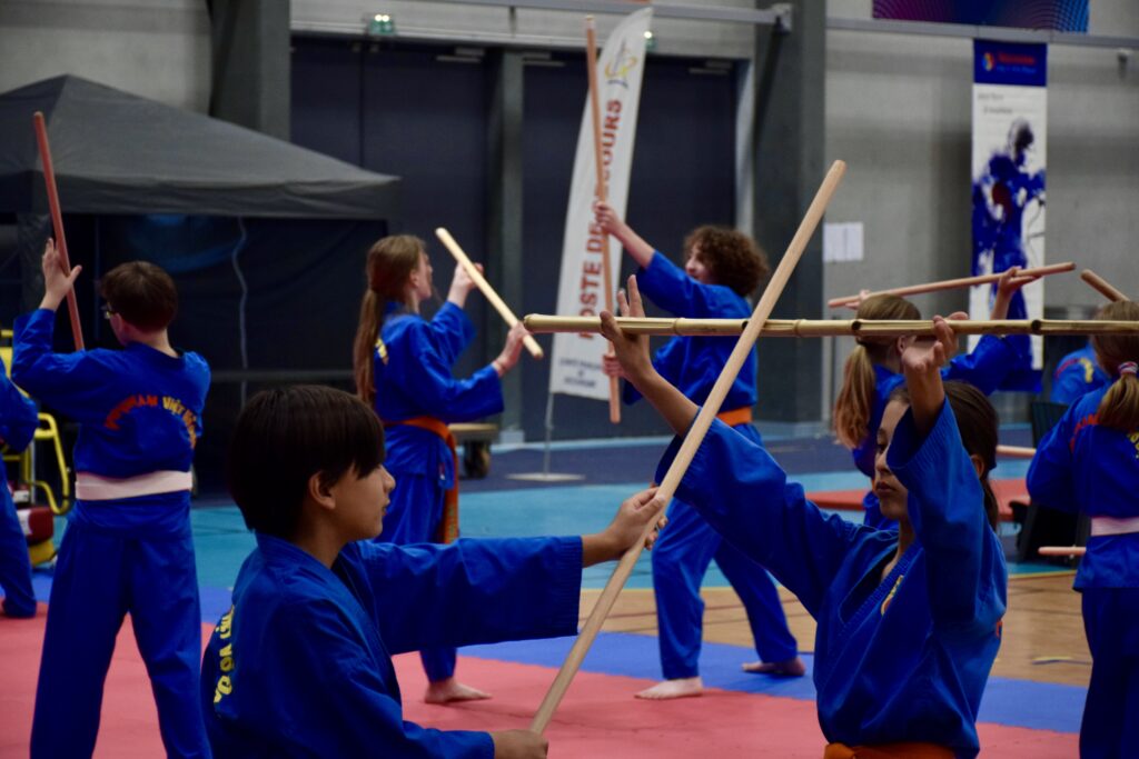Main image of Vovinam Viet Vo Dao Talence