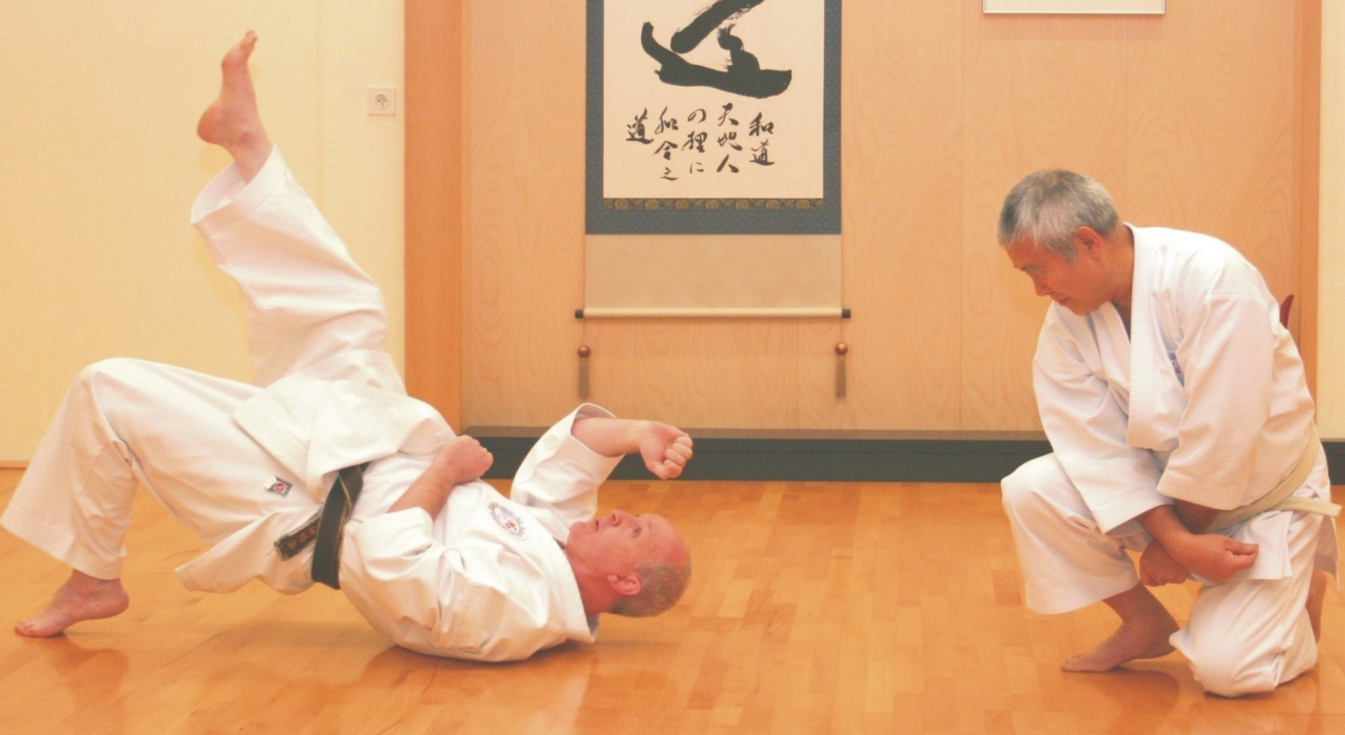 Main image of Wado Nrui