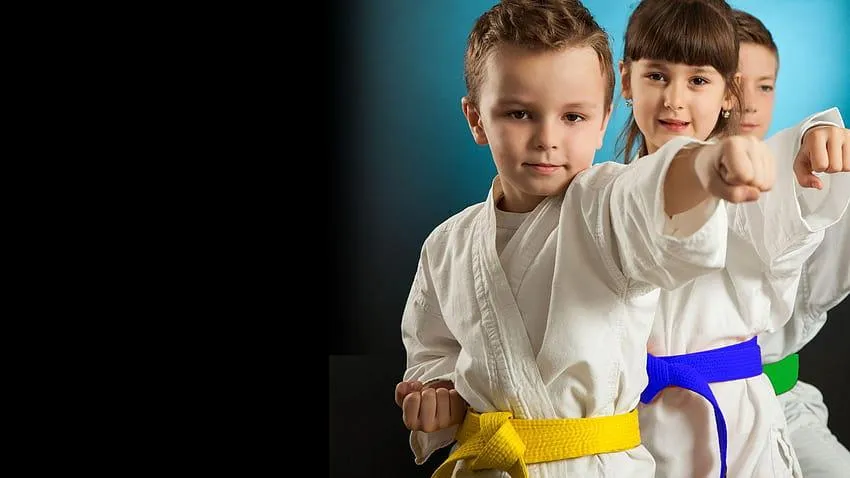 Main image of Wainfleet Martial Arts Center