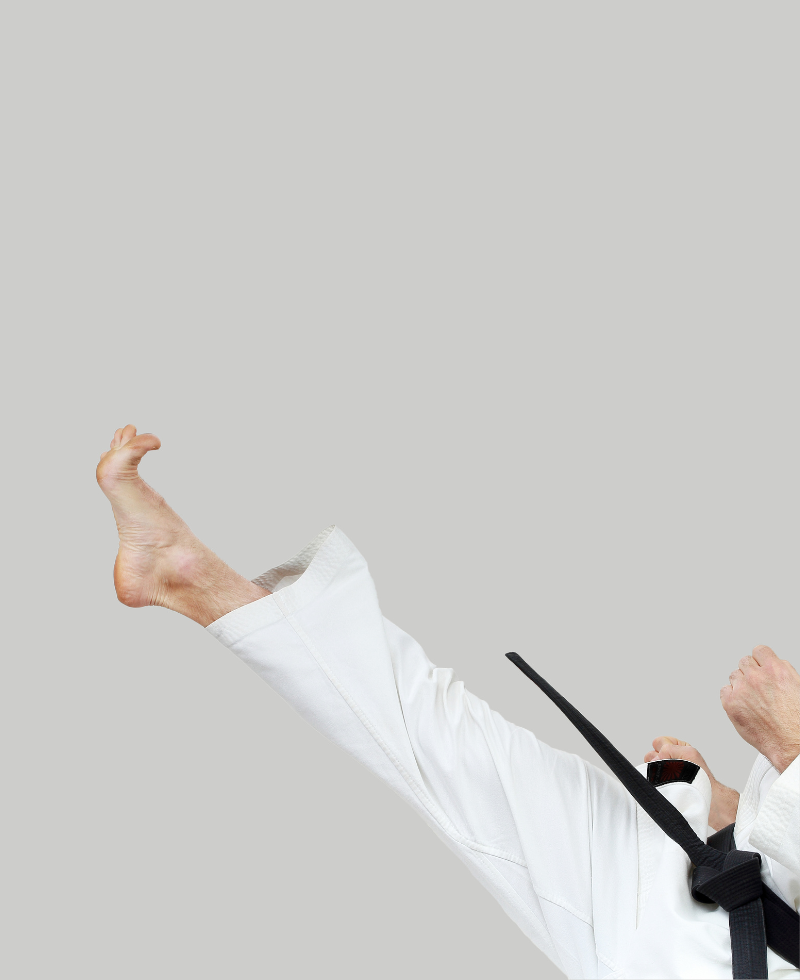 Main image of Wakan Karate do