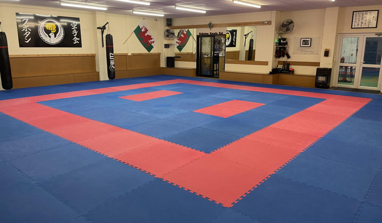 Main image of Wales Karate Association