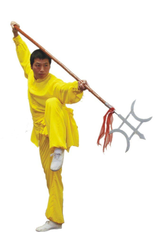 Main image of Wang Tao Kung Fu