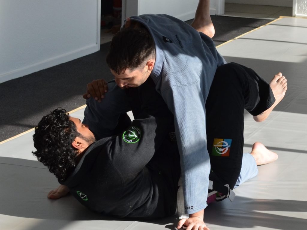 Main image of War Dog Combat