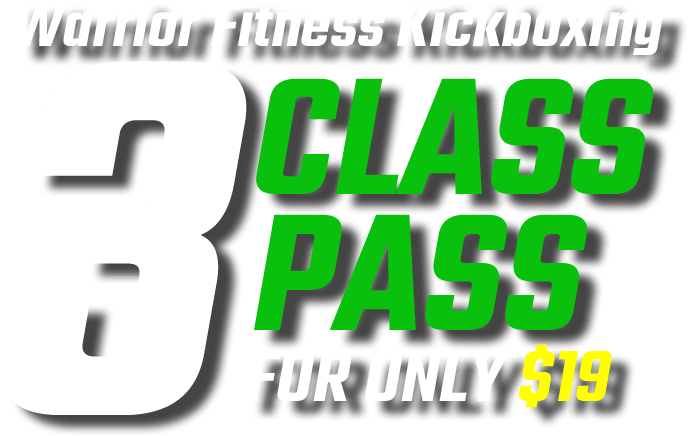 Main image of Warrior Krav Maga