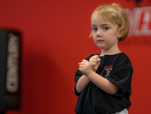 Warrior Martial Arts and Fitness