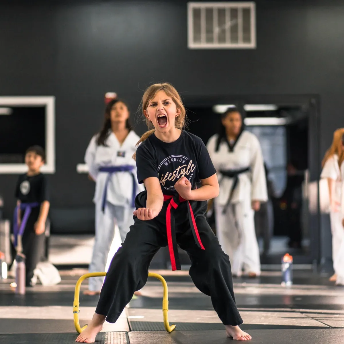 Main image of Warrior Martial Arts