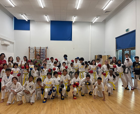 Main image of Watford Taekwon-do Club