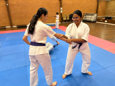 Main image of Way of Life Aiki Dojo- Karate and Aikido