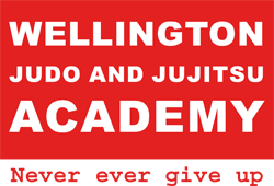 Main image of Wellington Judo Academy