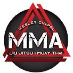 Main image of Wesley Chapel MMA