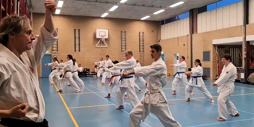 Main image of West Coast Shoto Kan Karate Association
