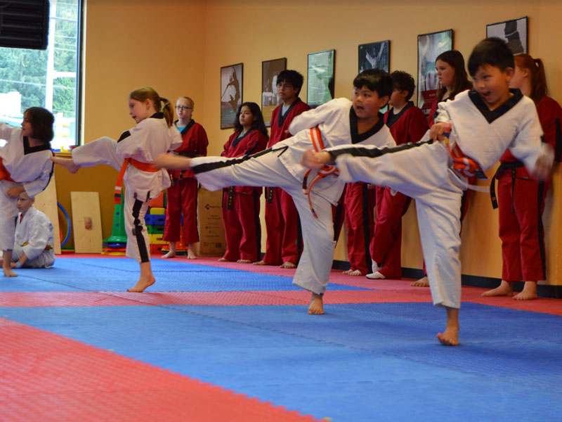 Main image of West Family Martial Arts