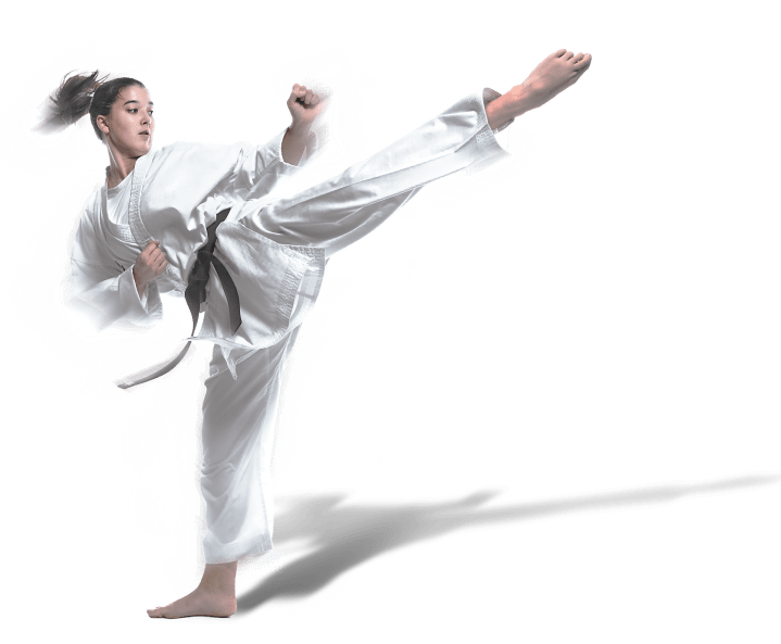 Main image of West Los Angeles Karate School